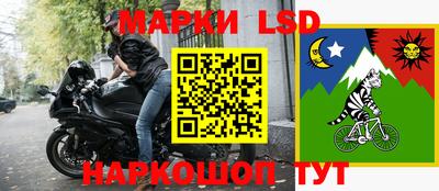шишки Пенза
