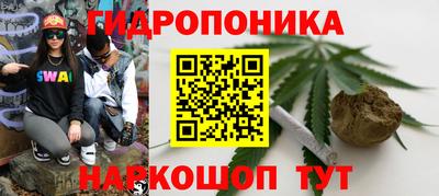 шишки Пенза