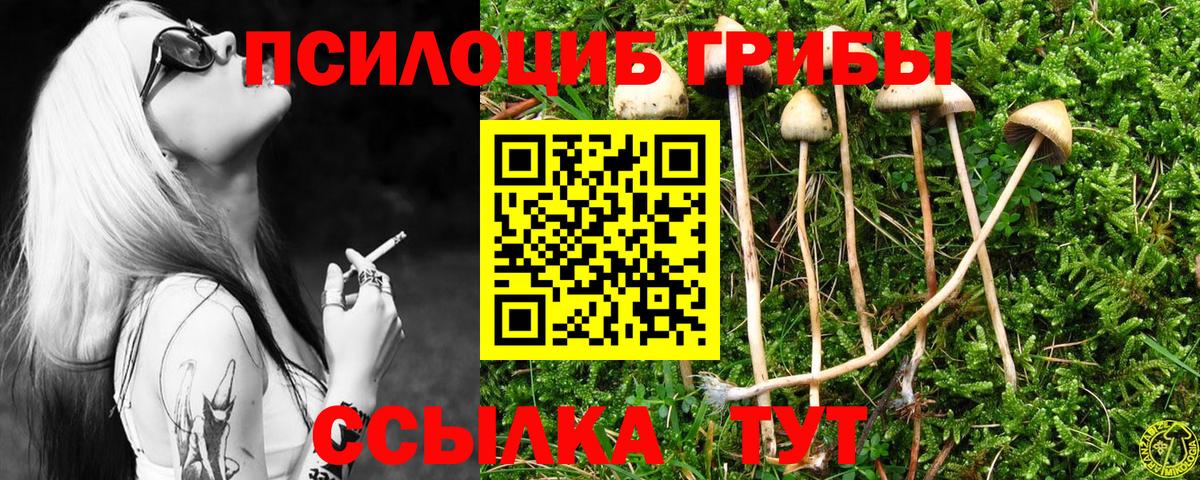 Галлюциногенные грибы ЛСД Полысаево