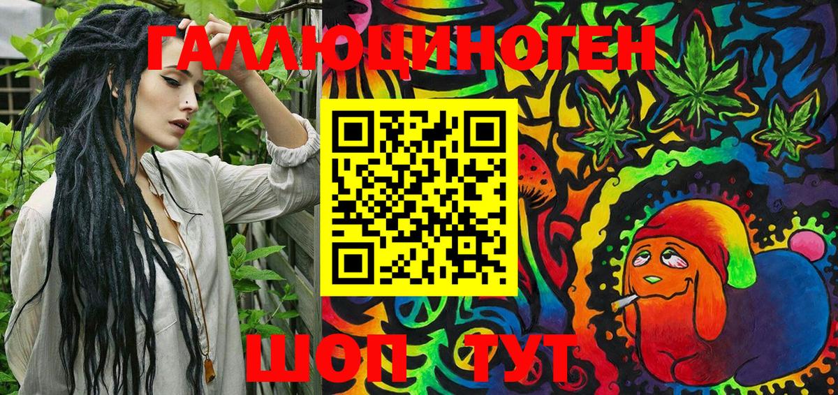 Полысаево  Галлюциногенные грибы Psilocybine cubensis  Вход с VPN 